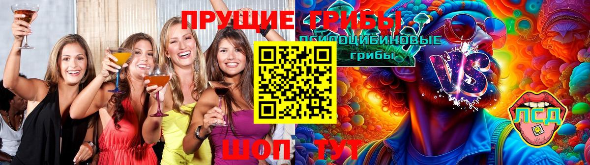 Воронеж  Псилоцибиновые грибы Psilocybe  Вход с VPN 